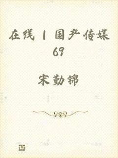 在线 | 国产传媒69